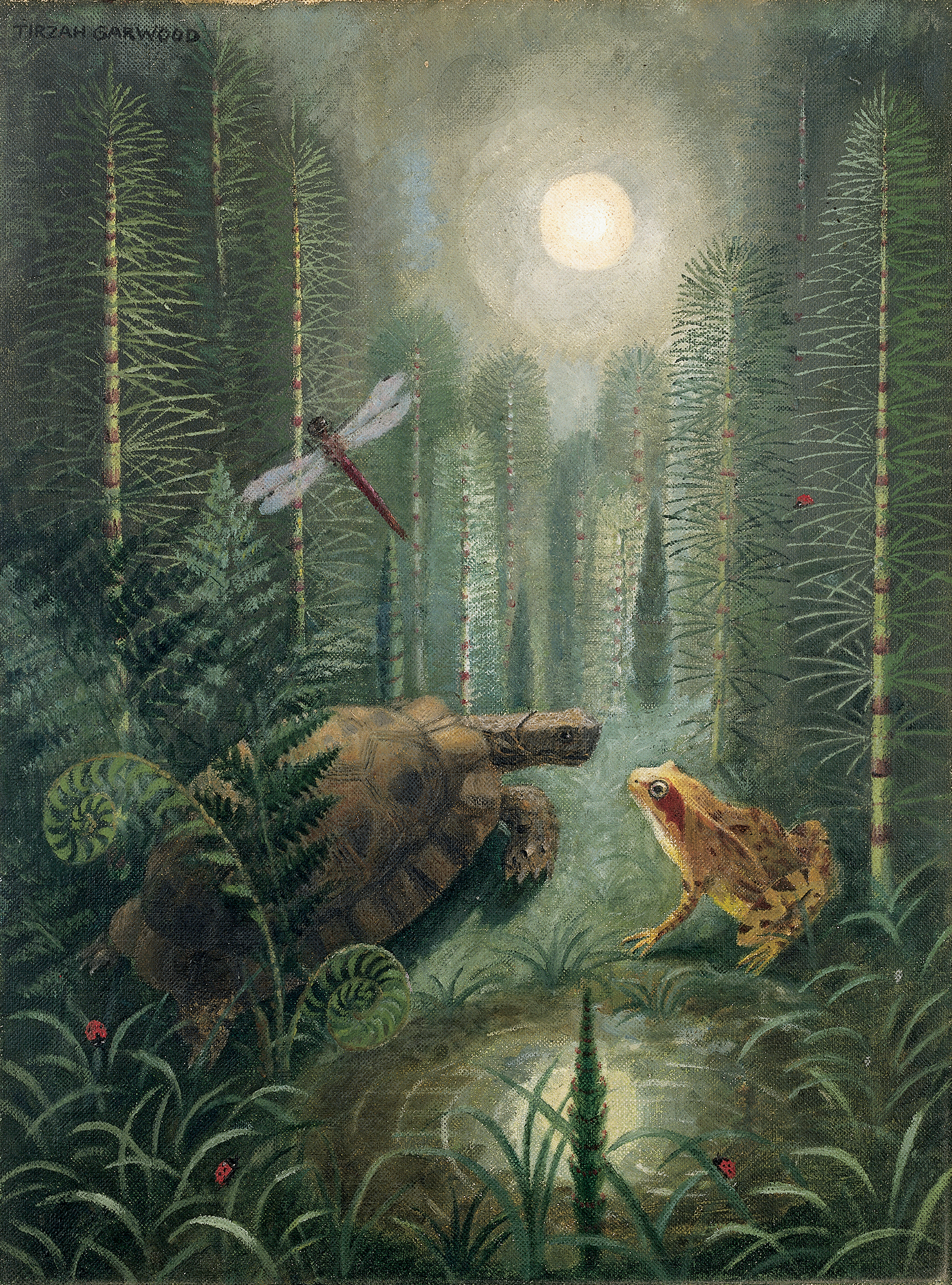 An atmospheric forest scene in moonlight with a tortoise, frog and dragonfly under a full moon reflected in a pool behind.